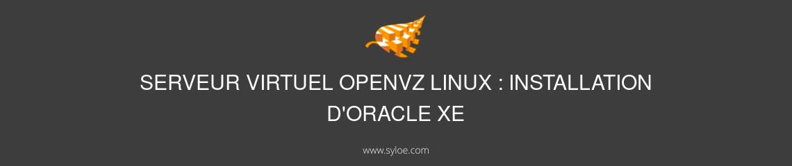 serveur virtuel openvz linux installation d oracle xe
