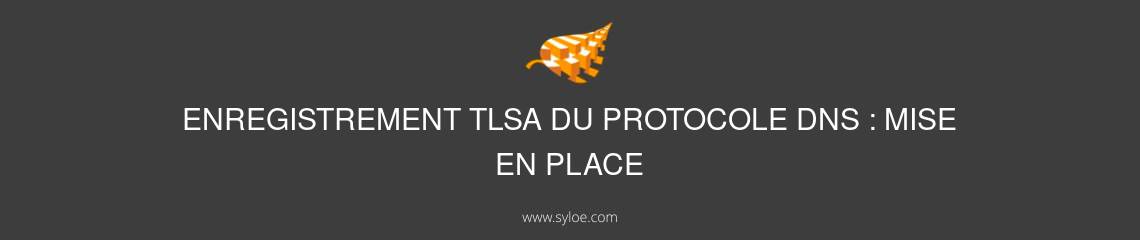 mise en place enregistrement tlsa du protocole dns