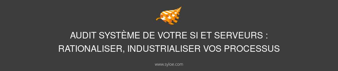 audit systeme si serveurs