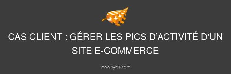 pics d’activité d'un site e-commerce