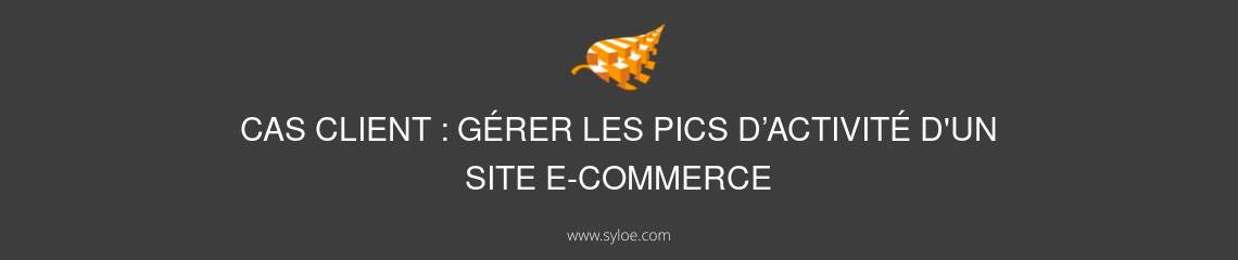 pics d’activité d'un site e-commerce