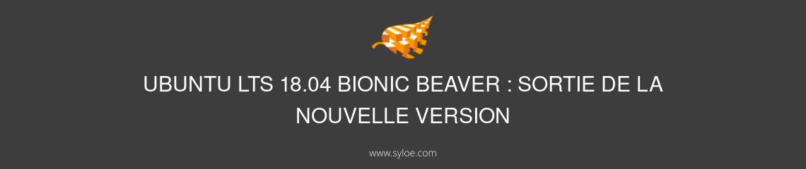 Ubuntu LTS 18.04 Bionic Beaver