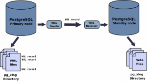 Replication postgresql et mariadb - schema