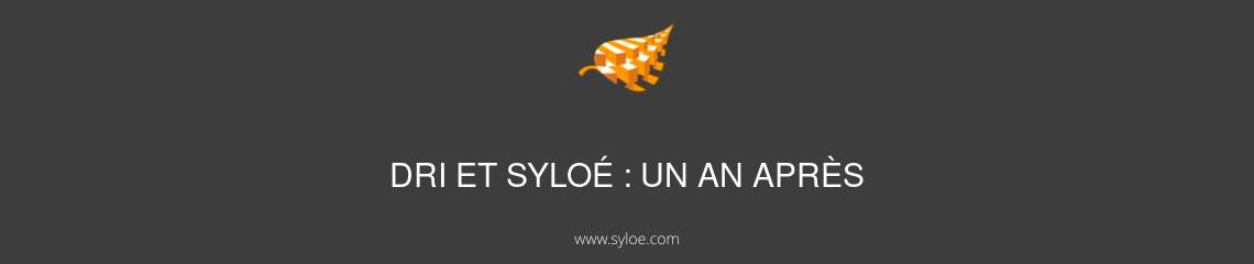 syloé et dri