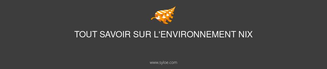 tout savoir sur environnement nix