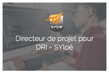 Directeur de projet pour Syloé - DRI