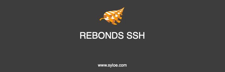 rebonds ssh