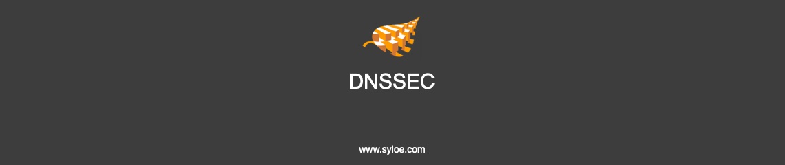 [Syloé] DNSSEC