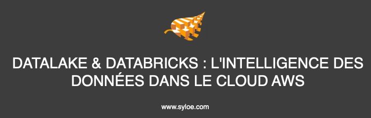 datalake & databricks - l'intelligence des données dans le cloud aws