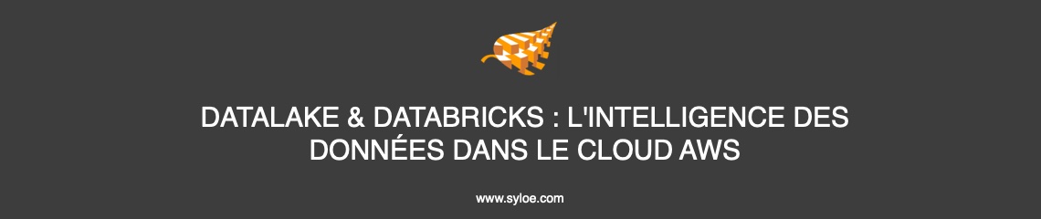 datalake & databricks - l'intelligence des données dans le cloud aws